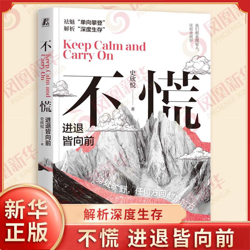 不慌 进退皆向前 史欣悦 著 不确定时代构建可持续的竞争优势 祛魅单向攀登 解析深度生存 哲学 机械工业出版社 新华书店正版书籍图片
