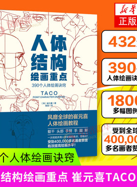 人体结构绘画重点 人体结构 人体绘画 崔元喜 TACO人体 解剖 动画人体结构教程 人体结构绘画教程 绘画技巧 绘画教程