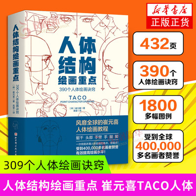 人体结构绘画重点人体结构