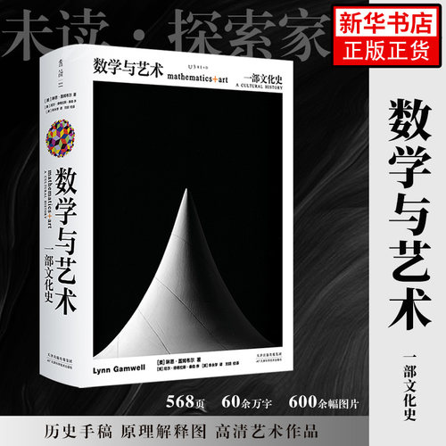 数学与艺术 一部文化史 普林斯顿大学 数学之美数学艺术关系交融莫比乌斯环原理解释历史手稿画作普正版书籍画册凤凰新华正版