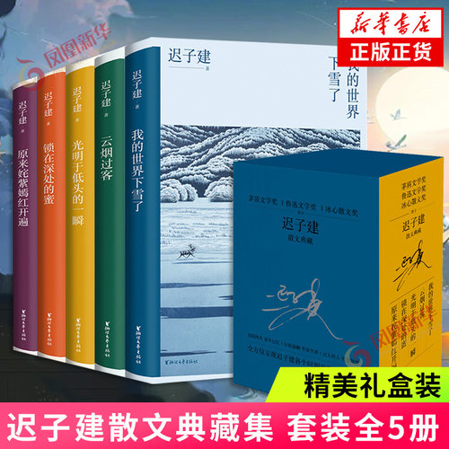 迟子建浙江文艺出版社