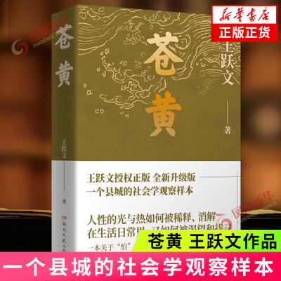 苍黄 王跃文著 湖南文艺出版社 中国当代长篇文学小说 新华正版