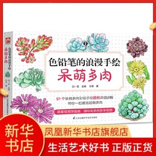學畫畫 手繪 手繪教程 彩鉛畫冊 色鉛筆 美術書 自學 臨摹本繪畫 素描臨摹 書 繪畫書籍 彩鉛畫臨摹本 呆萌多肉 入門 浪漫手繪