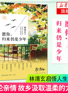 愿你归来仍是少年(水彩私享版) 林清玄启悟人生系列 青春励志成功书籍 中国现代散文随笔正版 林清玄散文集 凤凰新华书店旗舰店