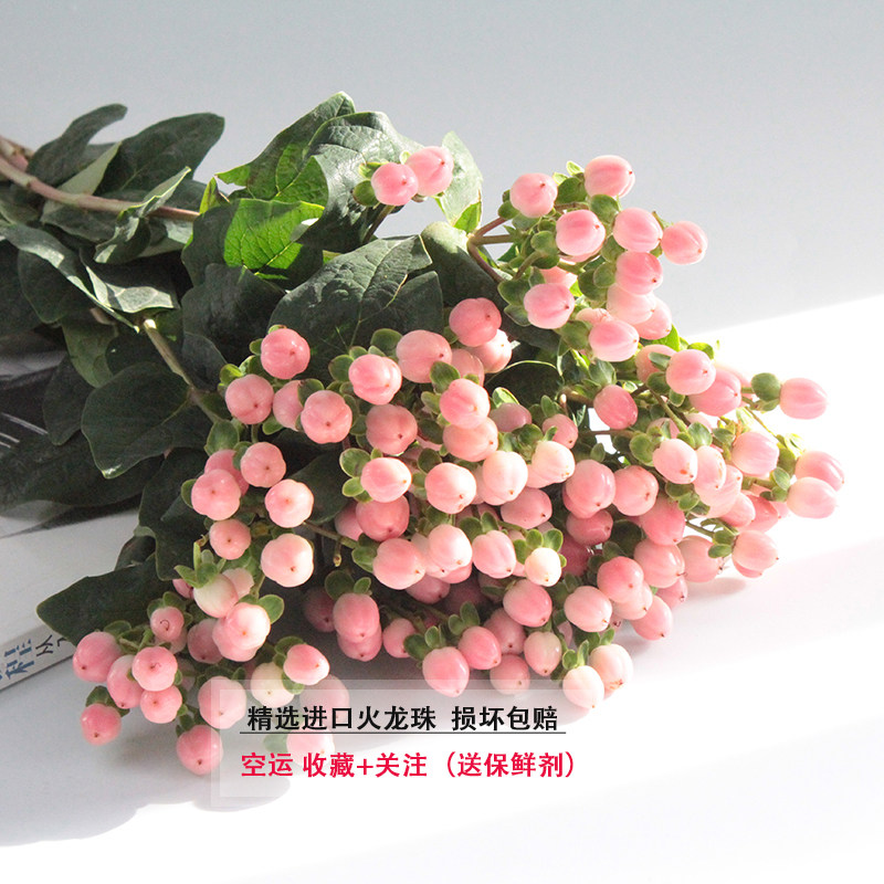 云南国产进口鲜切花火龙珠 相思豆 粉豆 红豆高端配花鲜花盲盒