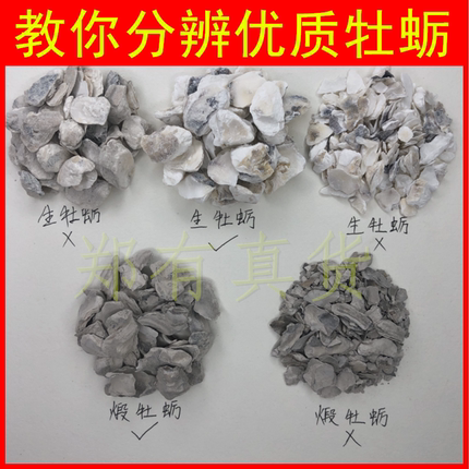 牡蛎壳中药材精选生牡蛎片煅牡蛎牡蛎块牡蛎生牡蛎壳粉可搭浮小麦