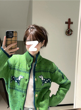 Drawdream 小众设计绿色卡通狗高领长袖开衫女冬季氛围感宽松毛衣