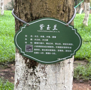 定制不锈钢树木植物标识牌认领悬挂牌户外园林绿化花草信息腐蚀牌