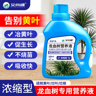 龙血树龙须树专用肥营养液盆栽植物室内绿植养花花肥通用型水溶肥