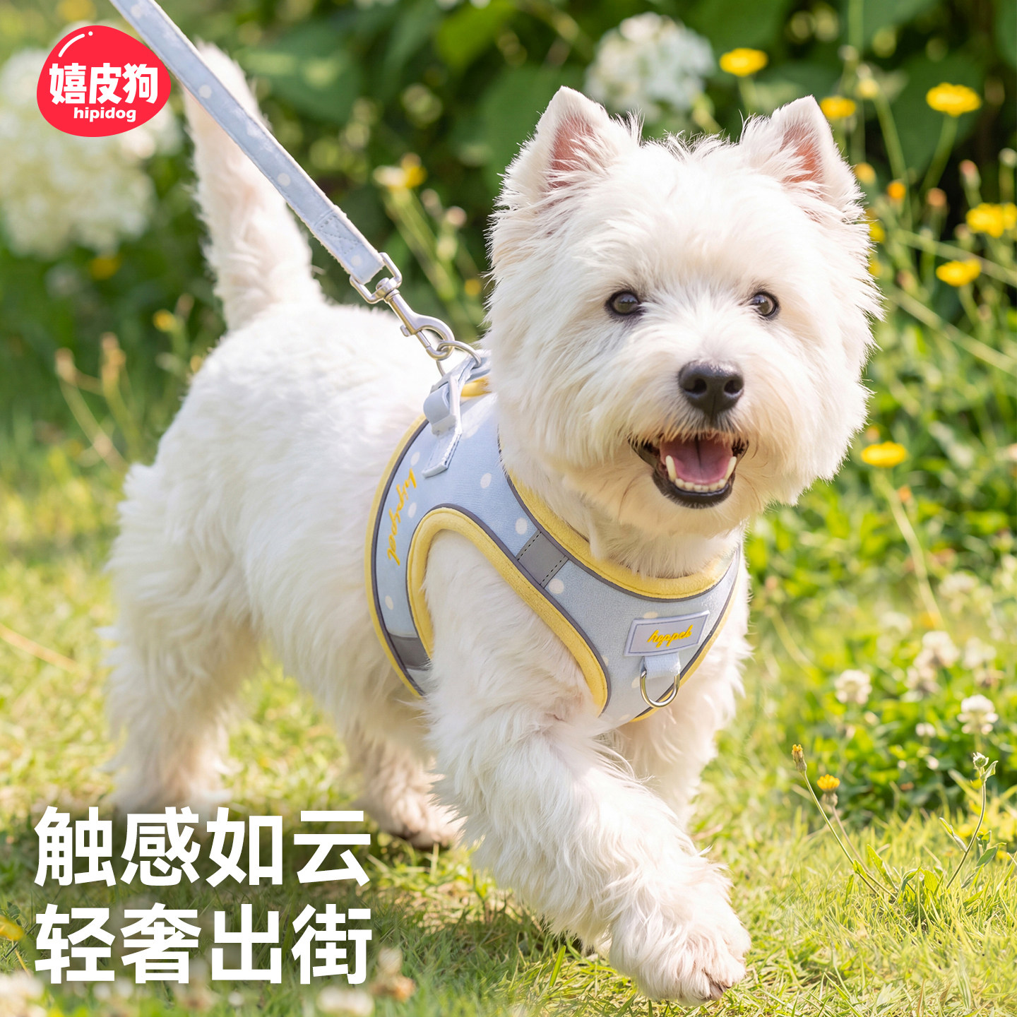 嬉皮狗牵引绳背心式胸背带小型犬防爆冲西高地比熊泰迪溜狗绳套装