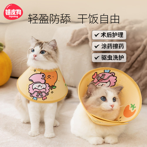 伊丽莎白圈猫绝育项圈