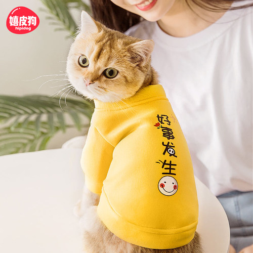 小猫咪衣服防掉毛英短蓝猫
