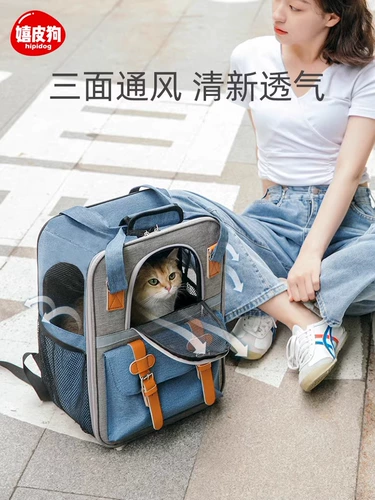 Портативный демисезонный удерживающий тепло вместительный и большой рюкзак для выхода на улицу, сумка для путешествий, надевается на плечо