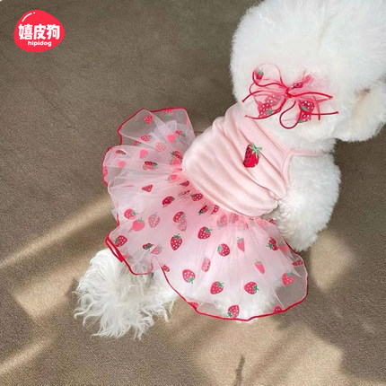 可爱草莓印花比熊夏季连衣裙子宠物小型犬夏天薄款泰迪小狗狗衣服
