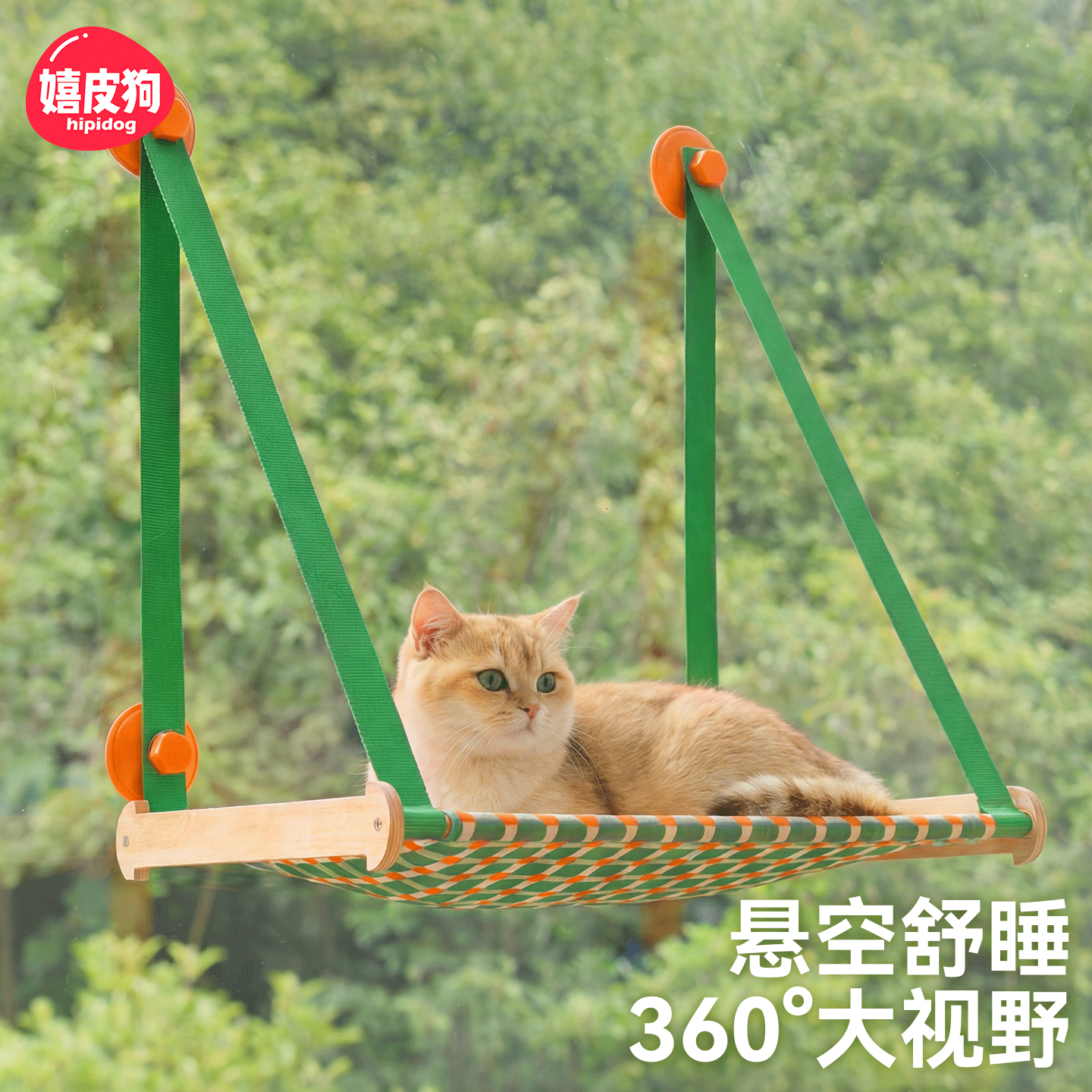实木吸盘猫爬架猫吊床阳台飘窗猫咪观景台猫窝一体不占地免打孔