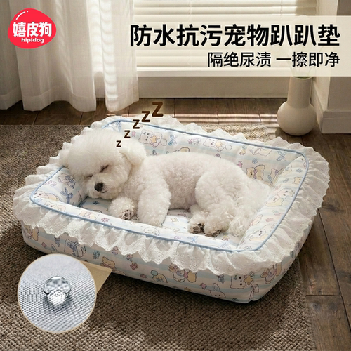 狗窝夏天趴趴垫丨900w人喜欢