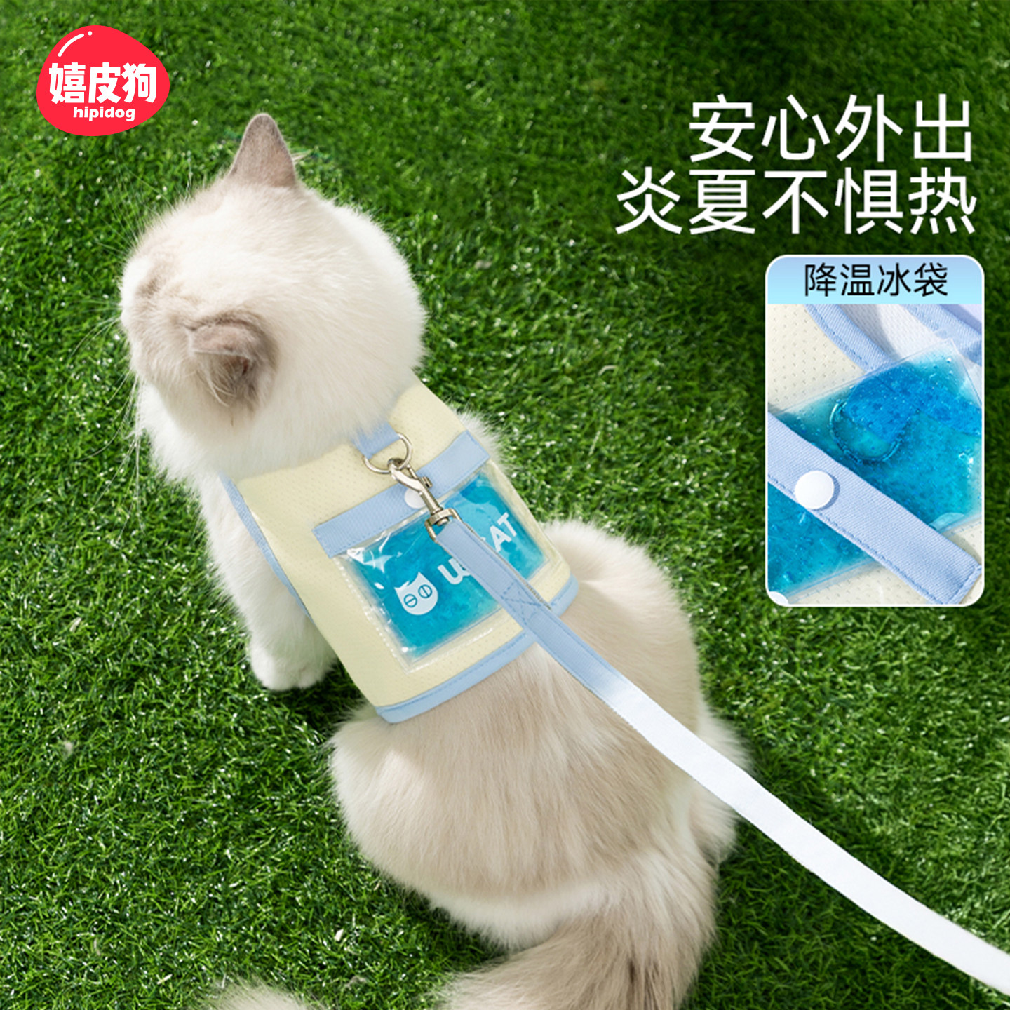猫咪牵引绳背心式防挣脱遛狗绳外出神器布偶猫链子蓝猫英短遛猫绳