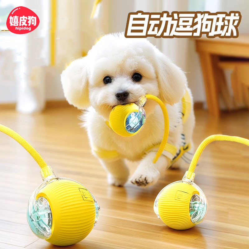 网红热销爆款丨自动遛狗球玩具