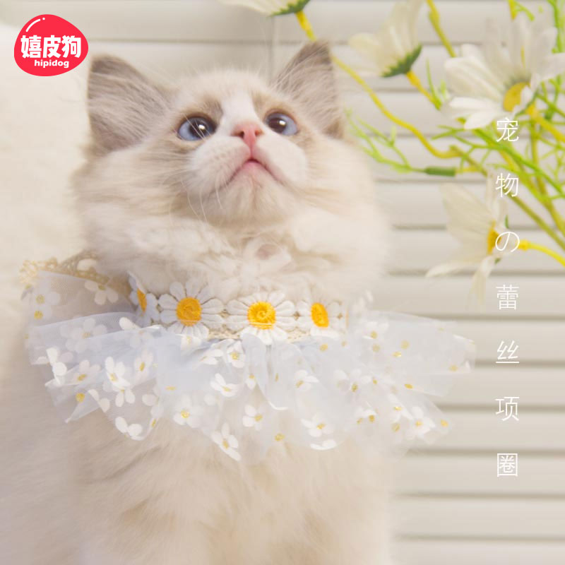 猫项链宠物项圈猫咪围脖装饰品幼猫脖子挂件猫环蕾丝猫咪用品大全 宠物/宠物食品及用品 项圈/肩带 原图主图