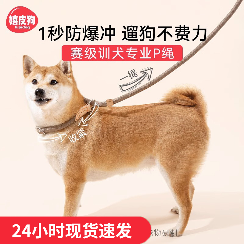 专业训犬p绳，轻松控制顽皮狗