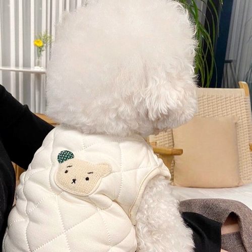 网红棉衣宠物冬季博美雪纳瑞