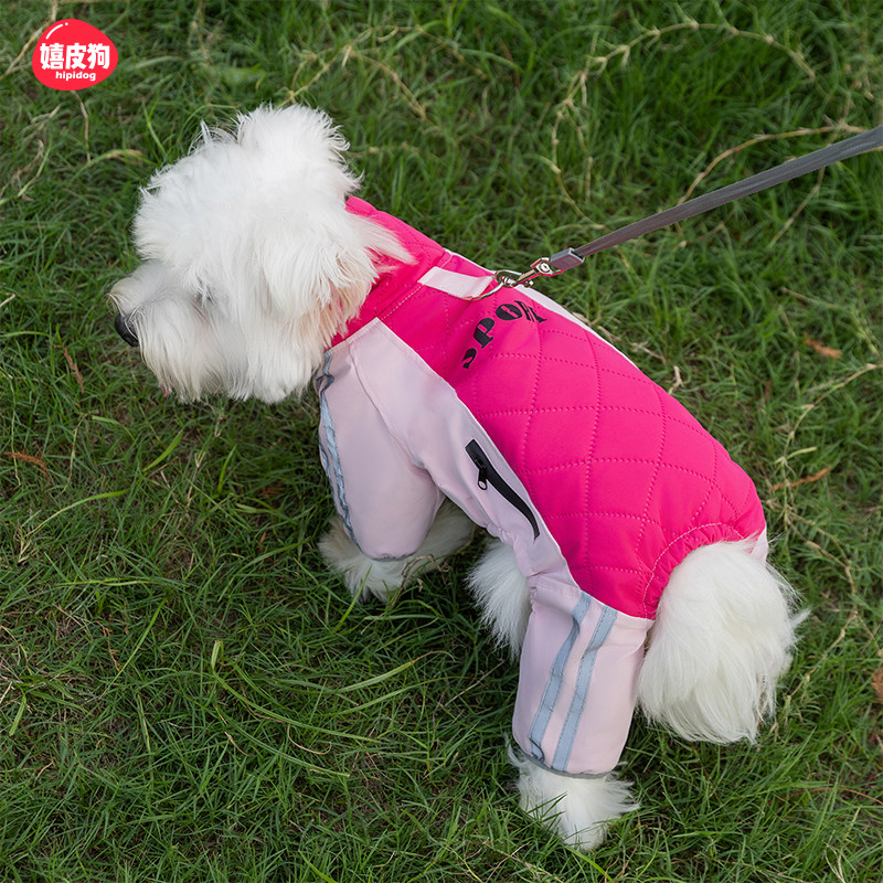 小狗狗冲锋衣冬天泰迪冬装比熊衣服西高地宠物雪纳瑞柯基冬季棉衣,宠物/宠物食品及用品,狗宠物服装/雨衣,淘宝优惠券,粉丝福利购,淘宝优惠卷