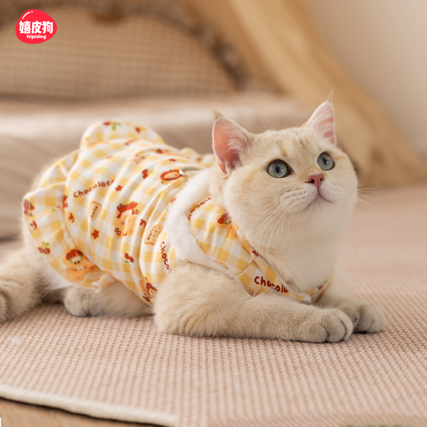 小猫衣服德文猫暹罗猫宠物德文猫阿比西尼亚猫秋冬季猫咪保暖马甲