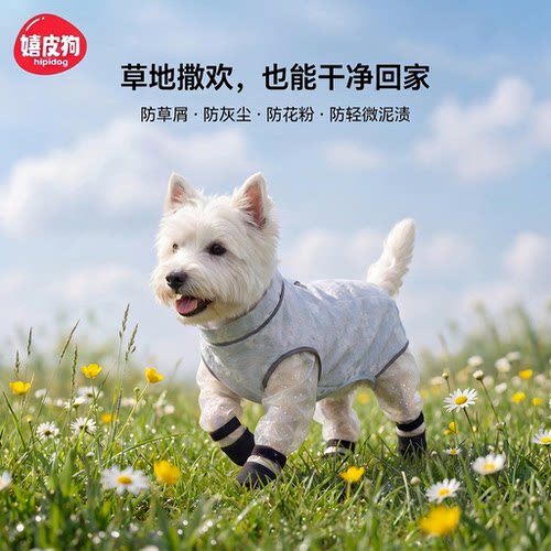 夏季网透气防虫四脚狗狗防尘裤