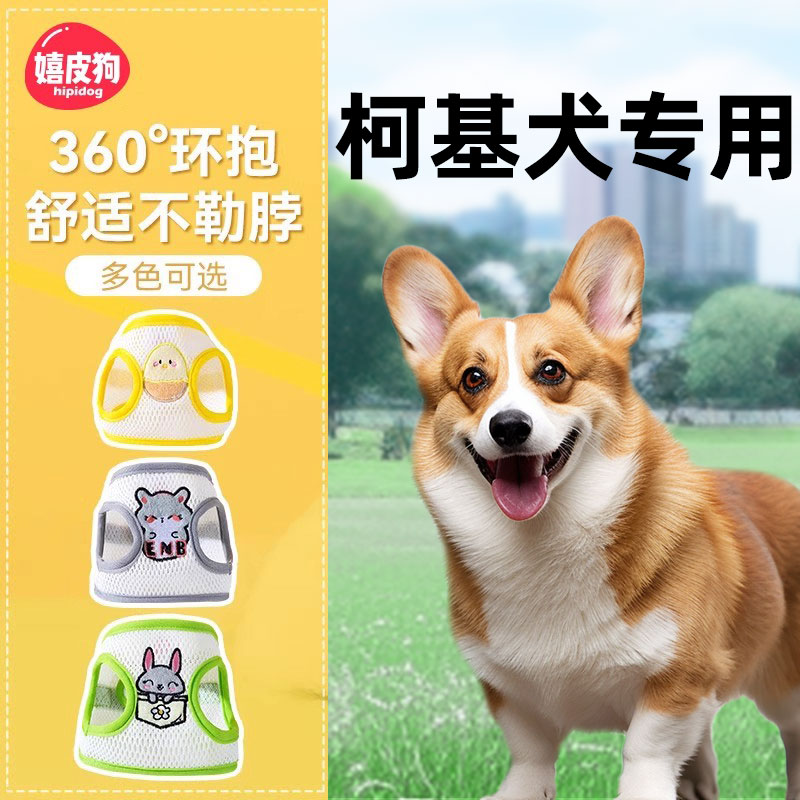 柯基专用狗狗牵引绳外出遛狗绳