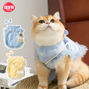 嬉皮狗25年新款 衣服 小猫咪背心防掉毛布偶猫德文猫宠物无毛猫薄款