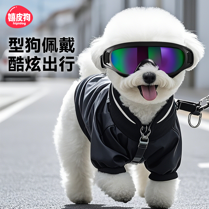 宠物狗狗护目镜酷炫出街
