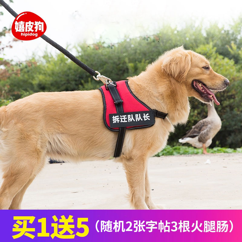 狗狗牵引绳胸背带金毛拉布拉多狗链子小型犬中型大型遛狗绳宠物29.90元包邮