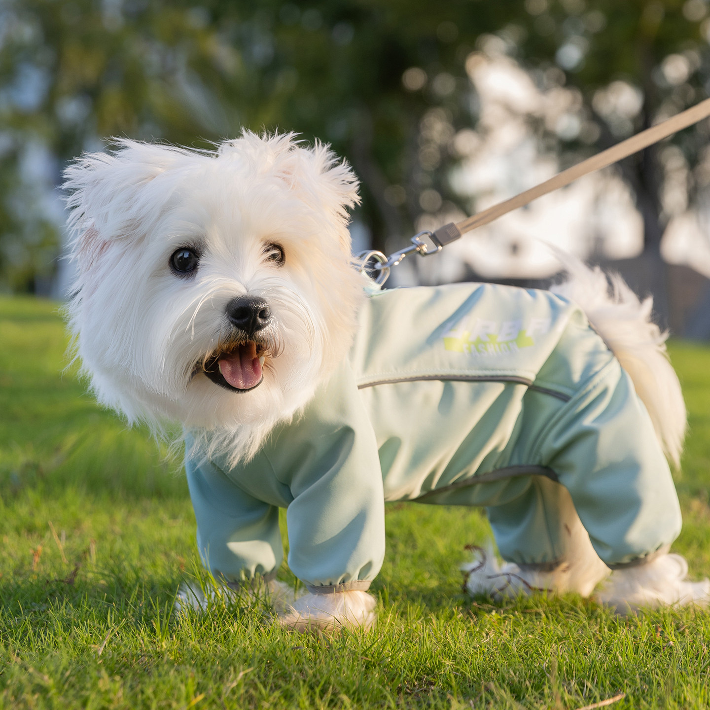 小狗狗衣服2026新款秋装比熊泰迪雪纳瑞四脚棉服小型犬宠物冲锋衣