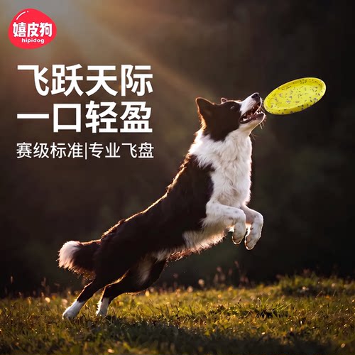 狗狗玩具宠物飞盘边牧玩具耐咬训狗训练专用巡回可浮水赛级飞盘