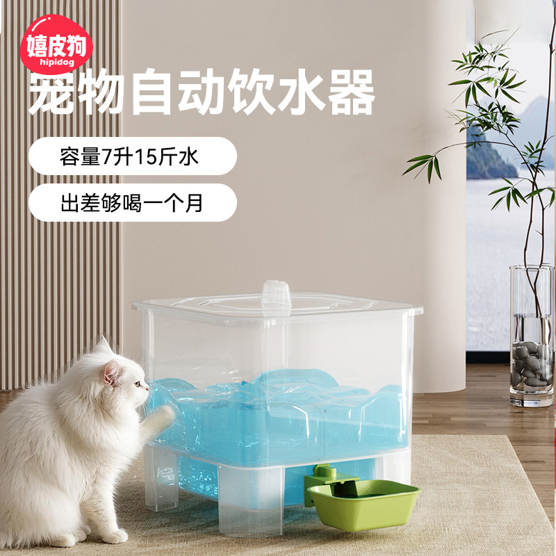 猫咪饮水机喂鸡饮水器
