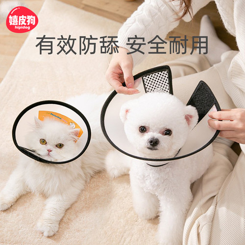 防舔防咬绝育头套伊丽莎白嬉皮狗