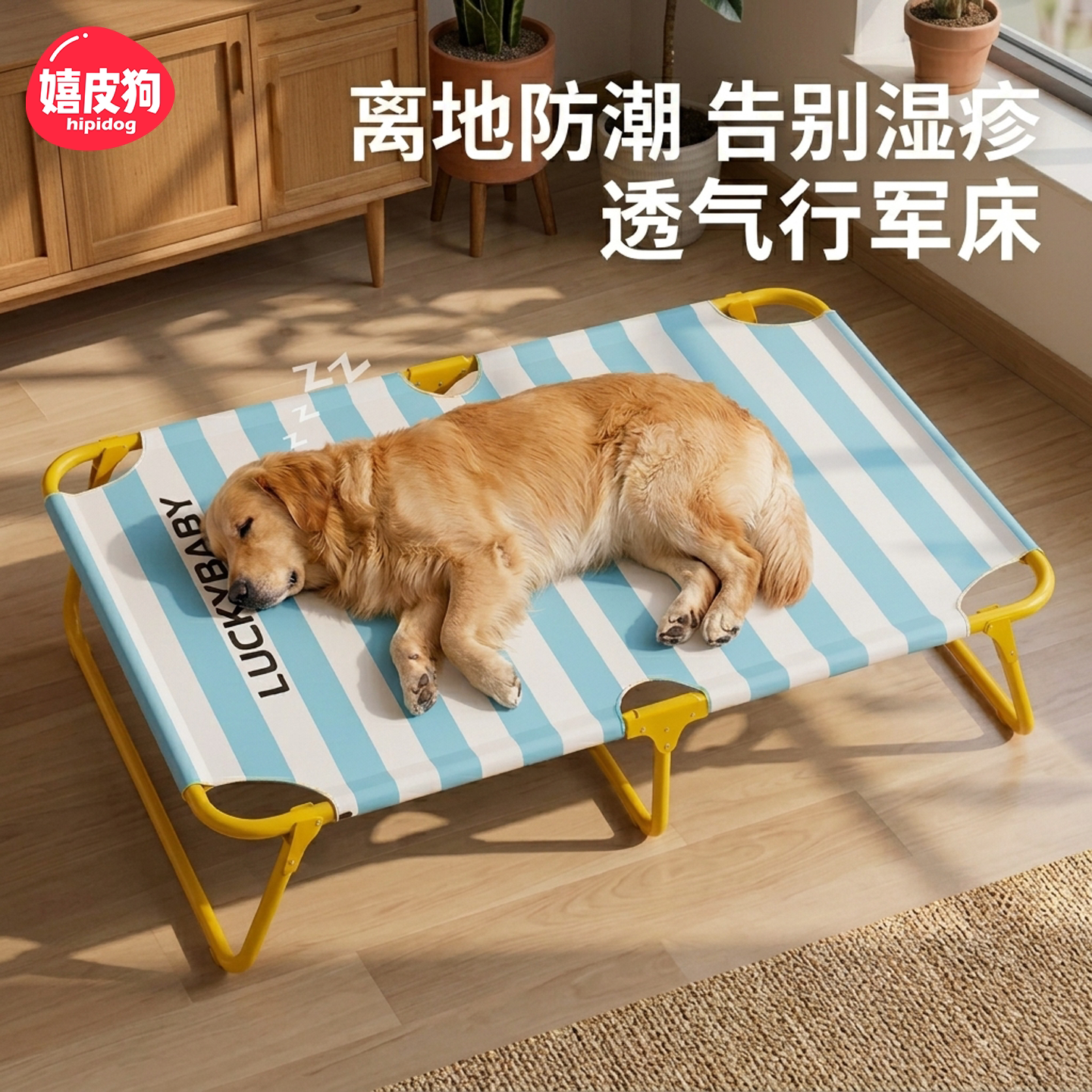 1000w人喜欢丨夏季宠物行军床图片