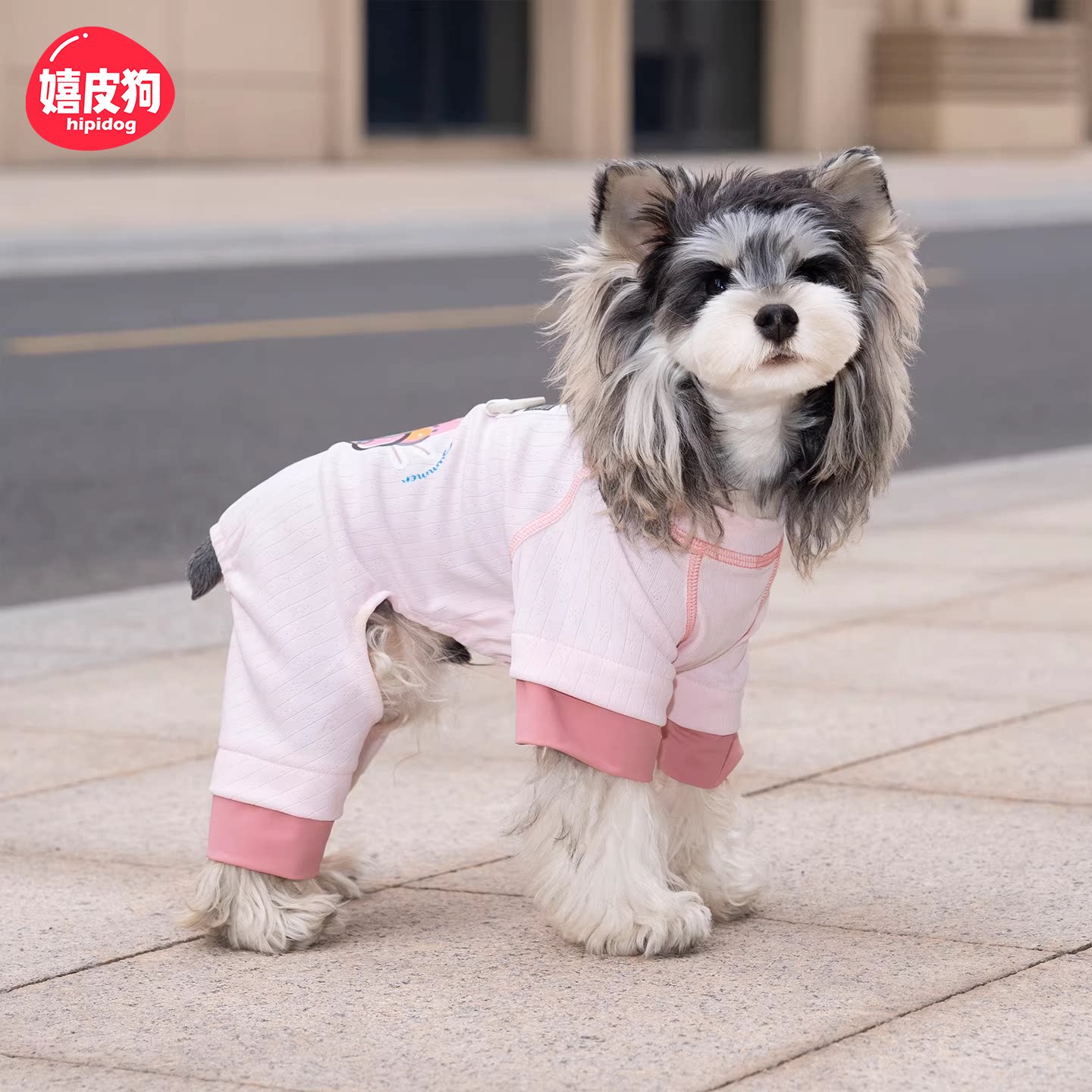 纯棉春夏薄款透气小型犬四脚衣图片