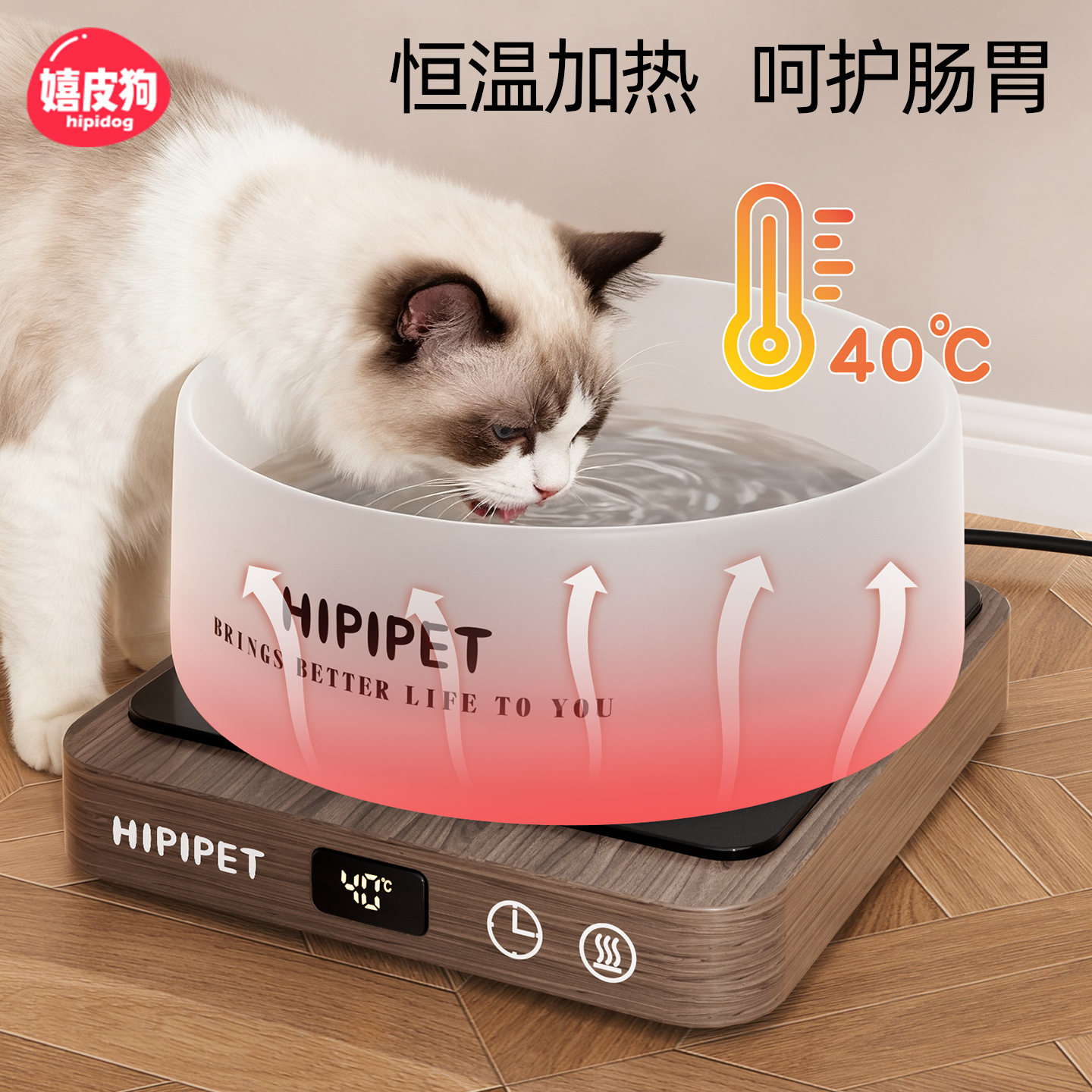 【5档控温】恒温猫咪饮水机