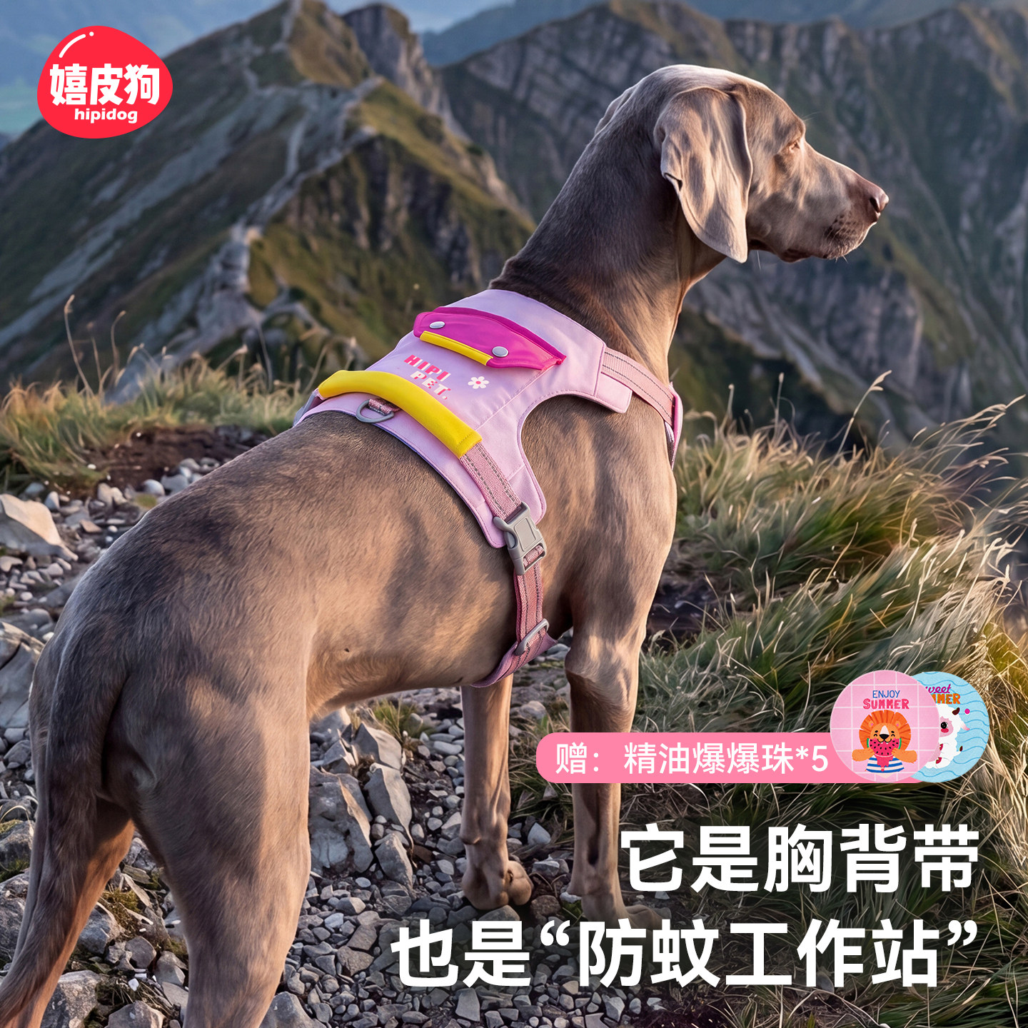 嬉皮狗精油防蚊防爆冲胸背带图片