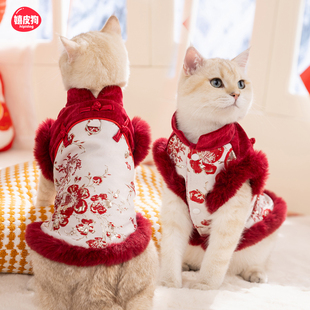 喜庆小猫咪衣服冬装 布偶猫防掉毛暹罗宠物无毛德文猫奶猫过冬棉衣