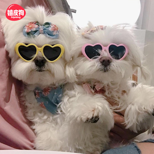 嬉皮狗宠物猫狗墨镜装饰