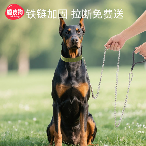 宠物不锈钢狗链牵引绳