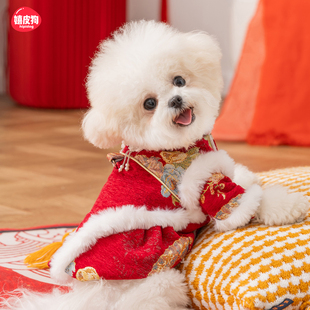雪尼尔棉衣小狗狗喜庆衣服冬装泰迪比熊宠物小型犬雪纳瑞过年裙子