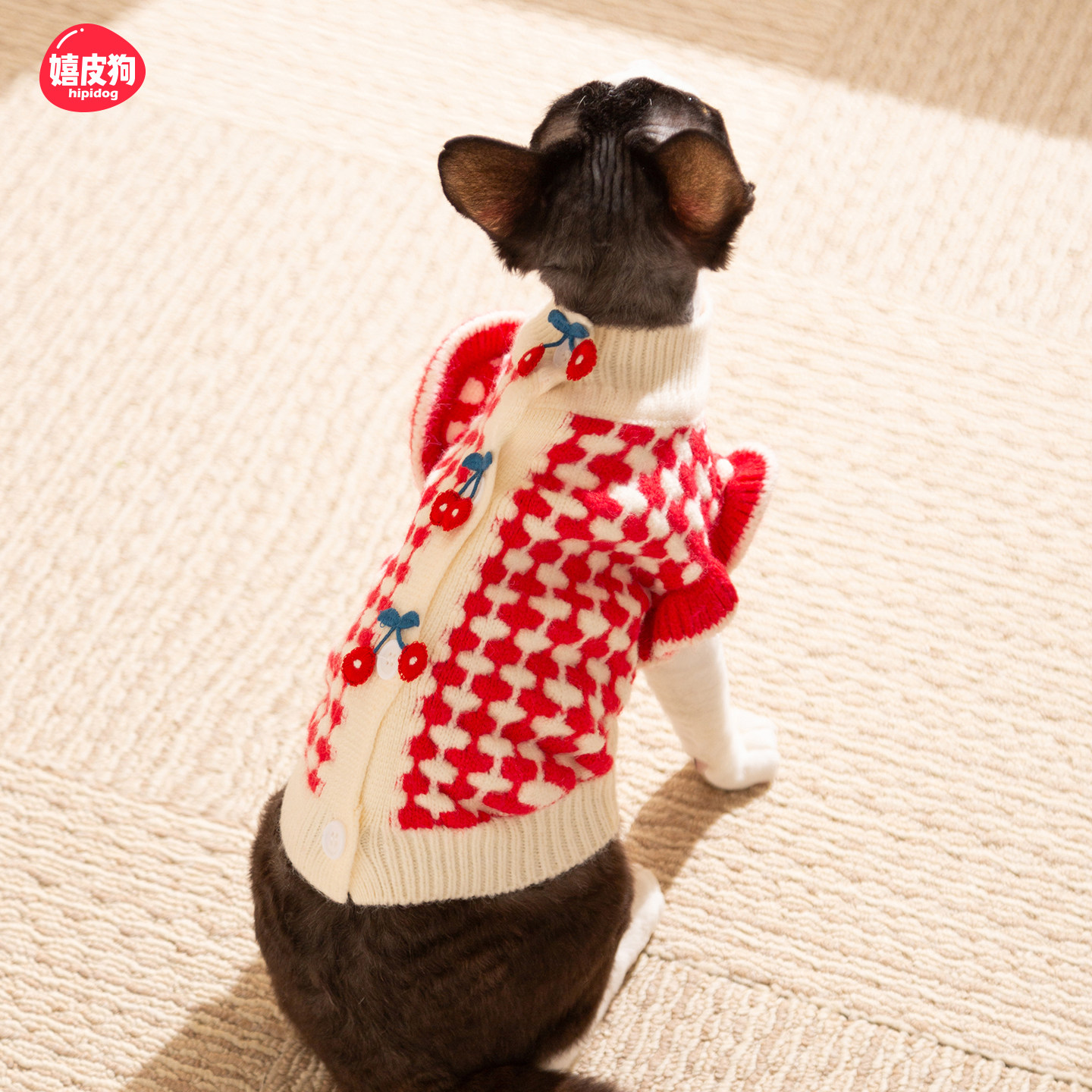 樱桃毛衣德文猫衣服防掉毛秋天暹罗猫阿比西尼亚猫宠物幼猫春秋款