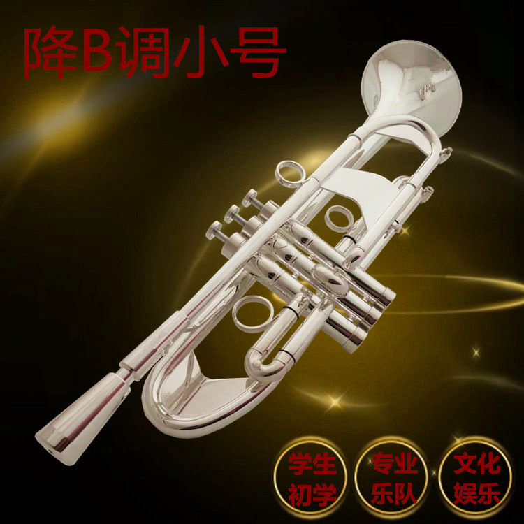 巴哈小号乐器加重专业降B调学生小号