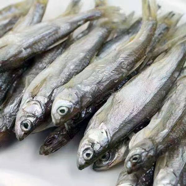 安徽明光女山湖特产翘嘴白盐干白条翘嘴鲌1000g