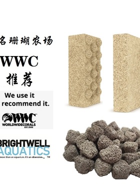 美国Brightwell滤材XPORT滤砖BW超大面积生物BIO滤板滤石神砖培菌