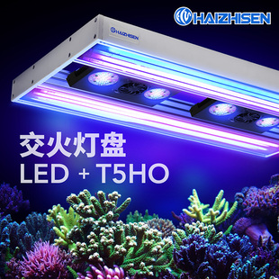 海之森交火灯盘T5HO/LED海水珊瑚鱼缸 淡水水草水族箱灯具