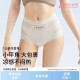 提臀三角裤 2026新款 女士无痕透气塑身舒适平角裤 高腰收腹内裤 薄款